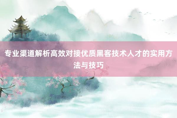 专业渠道解析高效对接优质黑客技术人才的实用方法与技巧