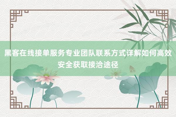 黑客在线接单服务专业团队联系方式详解如何高效安全获取接洽途径
